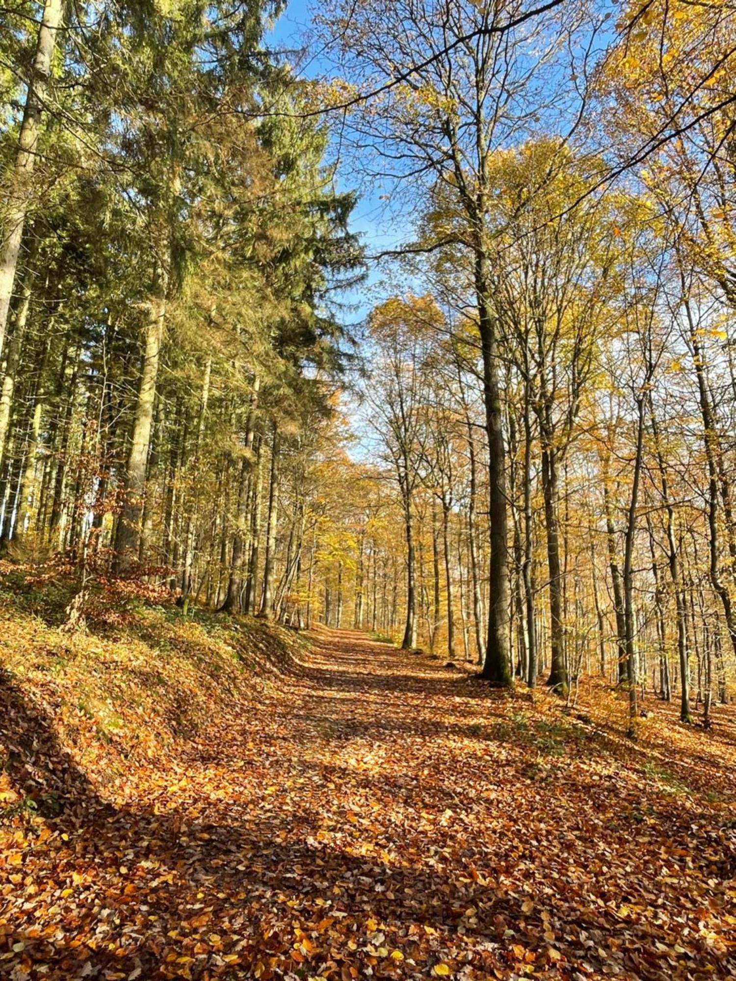 Gaestehaus Ute Mueller Wimbach Bagian luar foto
